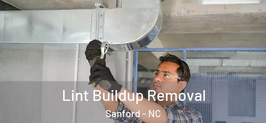  Lint Buildup Removal Sanford - NC