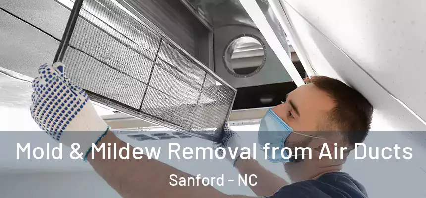  Mold & Mildew Removal from Air Ducts Sanford - NC