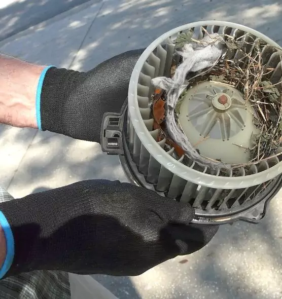 About Air Duct Mice Removal in Sanford, NC