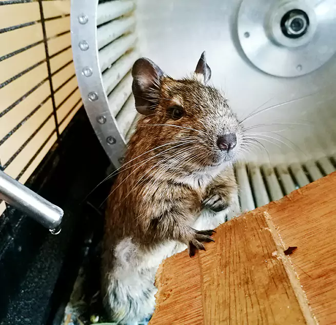 Why Homeowners & Businesses Trust Us Sanford, NC