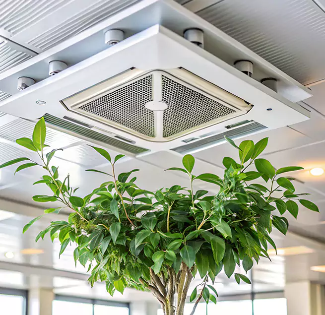 Why Homeowners & Businesses Trust Us in Sanford, NC?