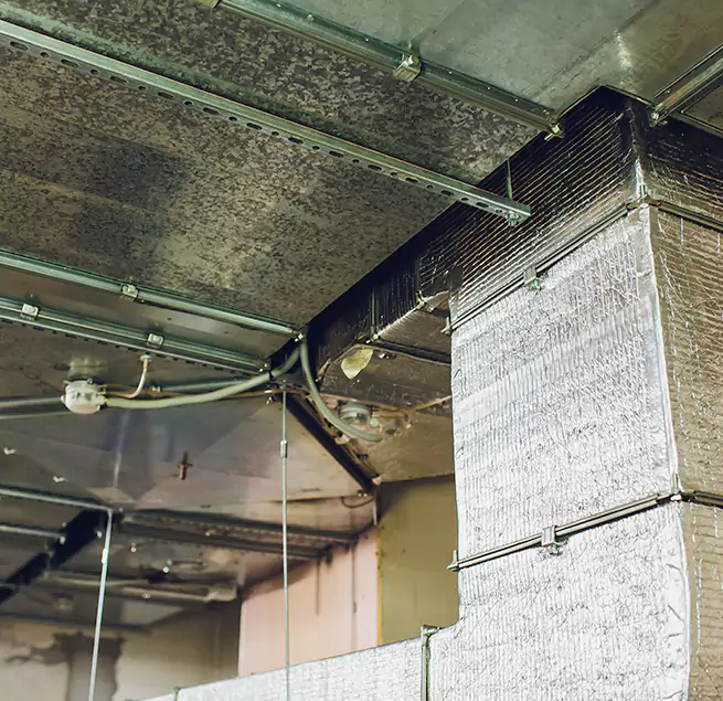 Why Homeowners & Businesses Trust Us in Sanford, NC?